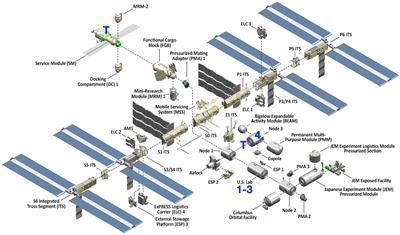 Genomic and Functional Characterization of Enterococcus faecalis Isolates Recovered From the International <mark class="highlighted">Space Station</mark> and Their Potential for Pathogenicity